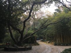 -采石矶景区
