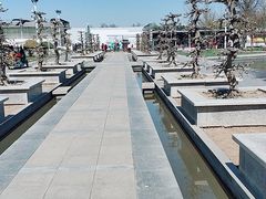 -石家庄市植物园