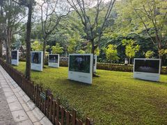 -野象谷景区