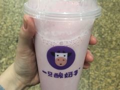 -一只酸奶牛(八一路店)