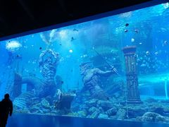 -哈尔滨波塞冬海底世界