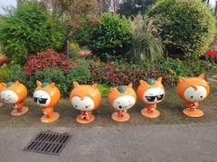 -上海长兴岛郊野公园