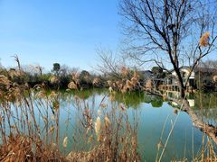 -新荣记(西溪湿地店)