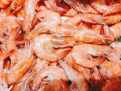 -星伦多自助料理(宝山龙湖天街店)