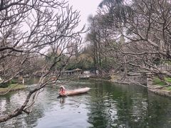 -晓港公园