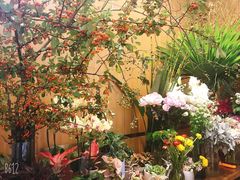 -蝶舍·MAISON PAPILLON