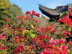 -杭州上天竺法喜讲寺