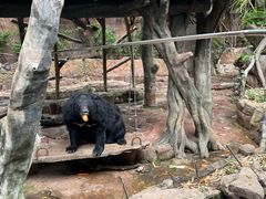 -长鹿旅游休博园