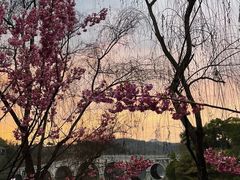 -重庆园博园