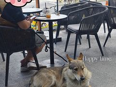 -Peet's 皮爷咖啡(东湖路手作店)