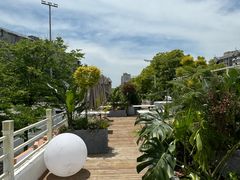 -芸鲜季·云南野生菌餐厅· 云南风物味研社(闵行店)
