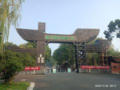 -溱湖国家湿地公园