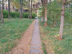 -长春市南湖公园