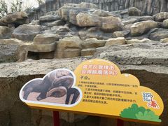 -武汉动物园