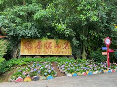 -西双版纳基诺山寨