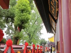 -宝通禅寺