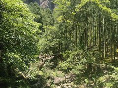 -雁荡山风景名胜区