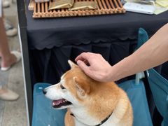 -合景·悠方(成都店)
