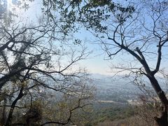 -灵岩山风景区