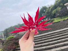 -重庆园博园