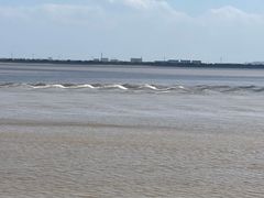 -观潮胜地公园