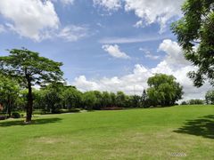 -顺峰山公园
