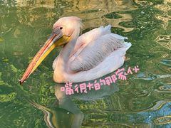 -灵玲国际马戏城