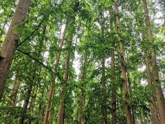 -上海怡沁园度假酒店