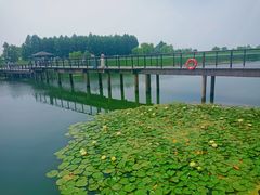 -苏州太湖湖滨国家湿地公园
