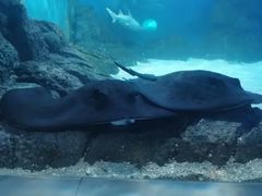 -常州海昌海洋探索馆