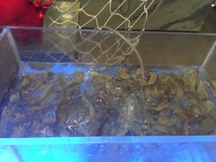-大汉金桥华美达广场酒店·食秀全日制餐厅