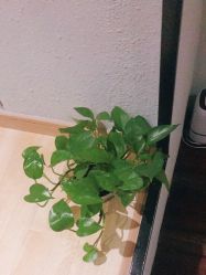 -香秀空间科技抗衰·美容中心