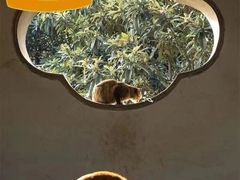 -猫音日语留学培训