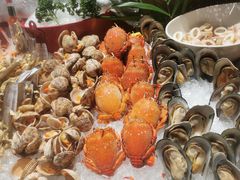 -顺德美的万豪酒店·自助餐·贡厨
