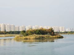 -贡湖湾湿地公园