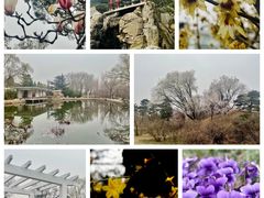 -国家植物园南园