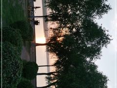 -丁香湖公园