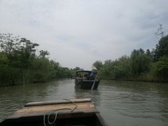 -溱湖国家湿地公园