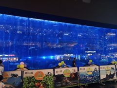 -成都浩海立方海洋公园