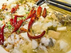 -宋小谨(惠安禹洲店)