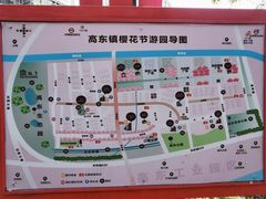 -高东镇樱花园