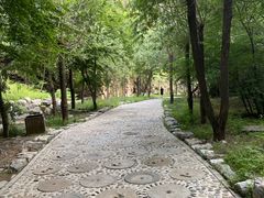 -十渡东湖港风景区