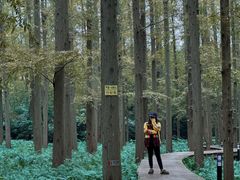 -上海怡沁园度假酒店