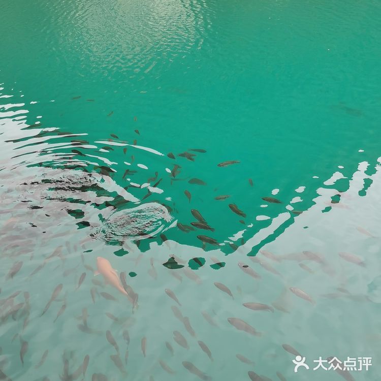 靖西∽游记🌾鹅泉风景区