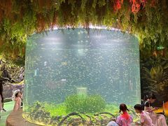-海合安成都极地海洋公园