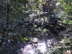 -九龙江国家森林公园