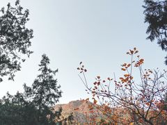 -香山公园