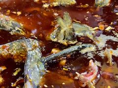 -金海椒罐罐鲢鱼(东方桂苑店)
