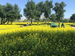 -长白岛森林公园