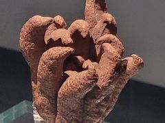 -广西壮族自治区博物馆